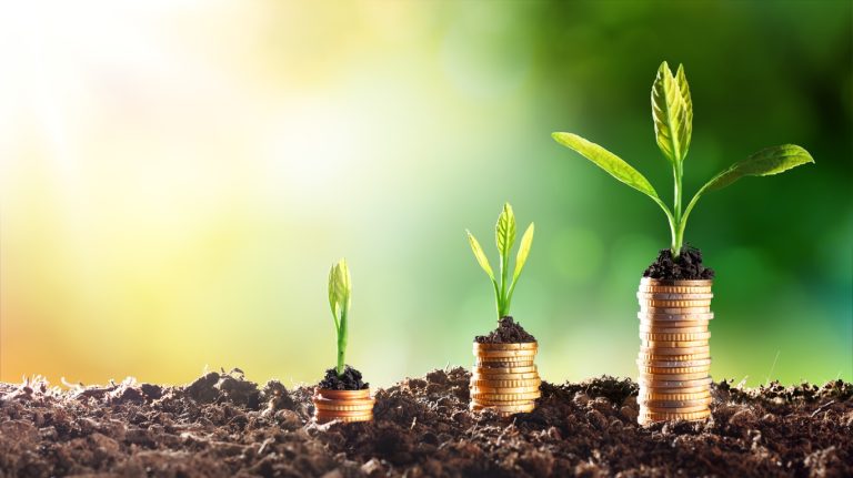 How to Raise Your Rates as a Freelancer