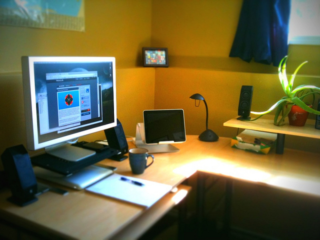 Why not to be embarrassed that you work from home
