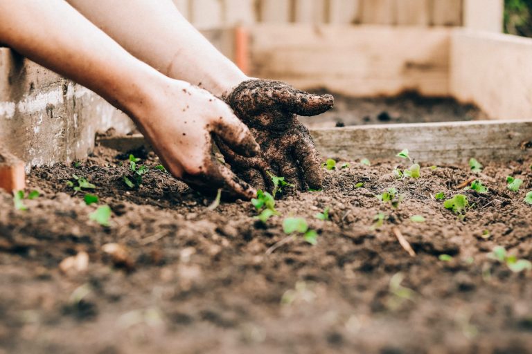 How to Create a Gardening Services Invoice Template