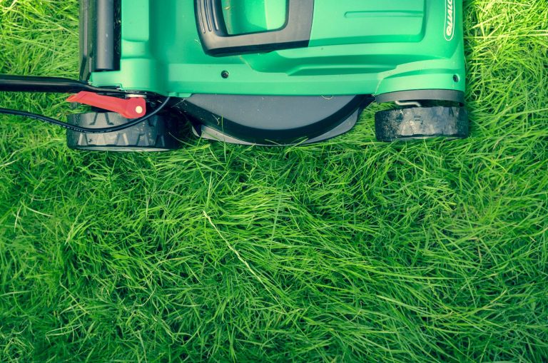 How to Make a Lawn Care Invoice