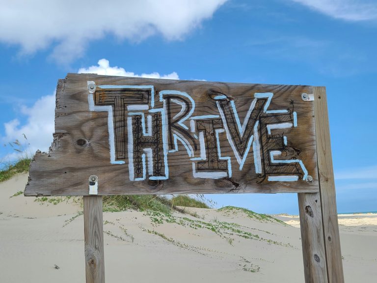 5 Core Business Skills to Thrive as a Freelancer